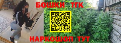 apvp Канаш
