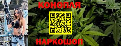 apvp Канаш