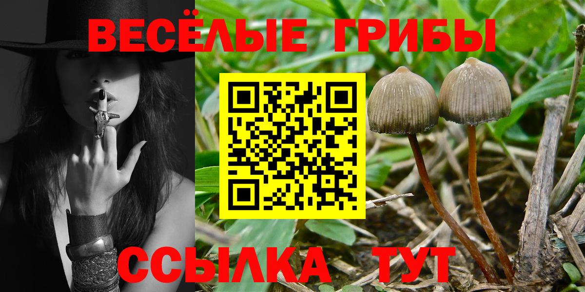 наркотики  Вход с VPN  Клинцы  Псилоцибиновые грибы GOLDEN TEACHER 