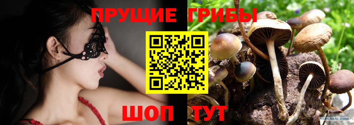 Галлюциногенные грибы GOLDEN TEACHER Клинцы